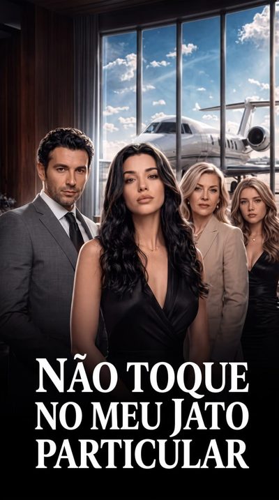 Não Toque no Meu Jato Particular